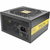 In Win P75FII 750W GOLD PCI-E Gen 5.0 Ready Power Supply - 5 Year Warranty - Retail Box - Internal - 12 V DC, 5 V DC, 3.3 V DC Output - 1 +12V Rails