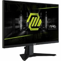 24.5 /Flat/IPS/FHD/300Hz/0.5ms