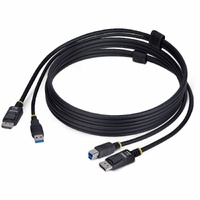 StarTech.com 6ft (1.8m) DisplayPort and USB 5Gbps KVM Cable, Up to 4K 60Hz, DP and USB Combo Cable for KVM Switch - KVM cable connects a computer to