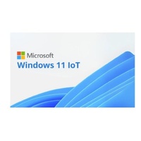 Microsoft Windows 11 IOT Multi Language - By Order