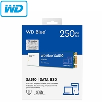 SSD WD Blue SA510 250GB M.2 2280 Solid State Drive WDS250G3B0B Up to 555MB/s